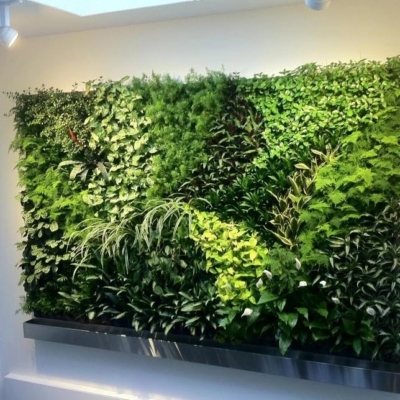 Vertical Garden